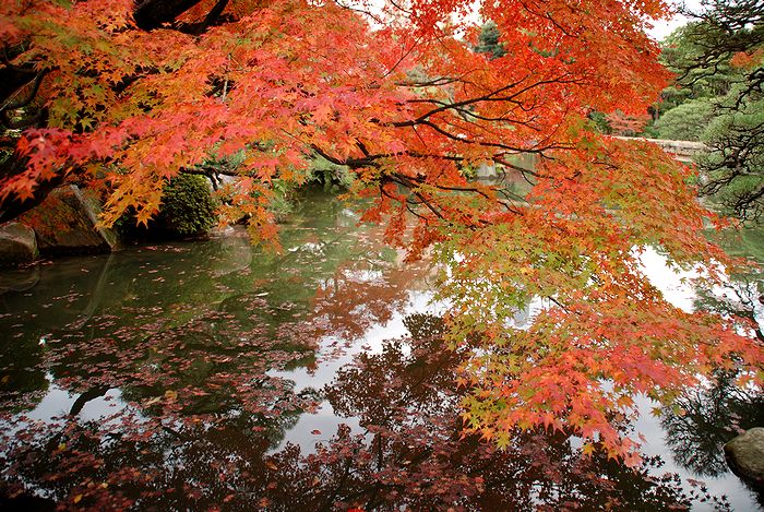 紅葉　相楽園_e0053660_2039031.jpg