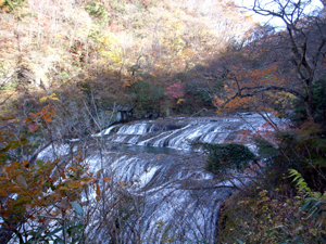 e0034068_05435.jpg