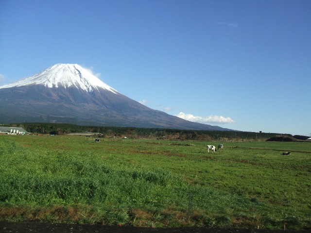 f0088569_8591390.jpg