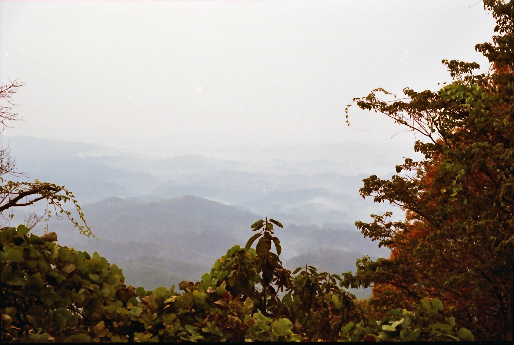 b0074377_21355711.jpg
