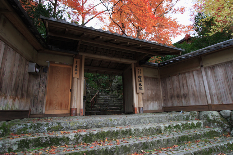 瑠璃光院_e0051888_23342438.jpg