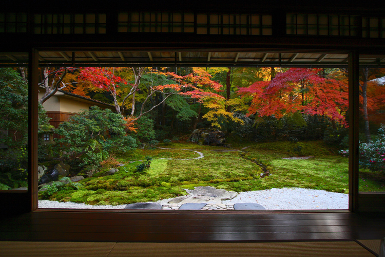 瑠璃光院_e0051888_23352958.jpg