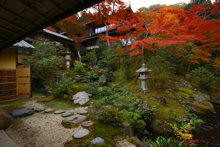 瑠璃光院_e0051888_23371460.jpg