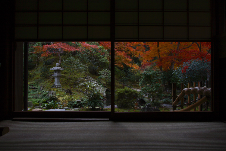 瑠璃光院_e0051888_23383340.jpg