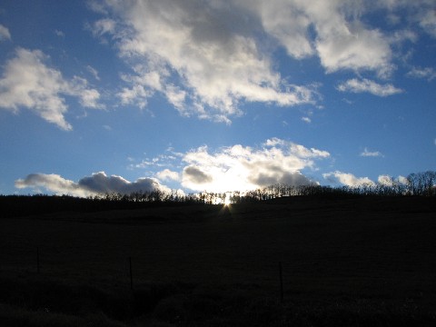 １１月の北海道　２日目_e0047794_2291880.jpg