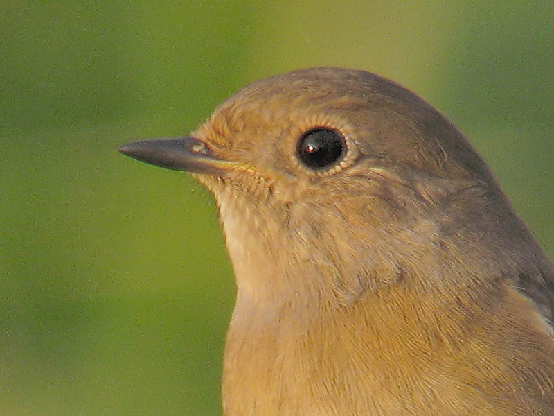 b0024798_643765.jpg