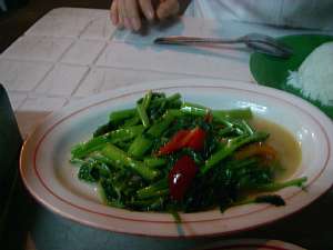 a0036499_08366.jpg