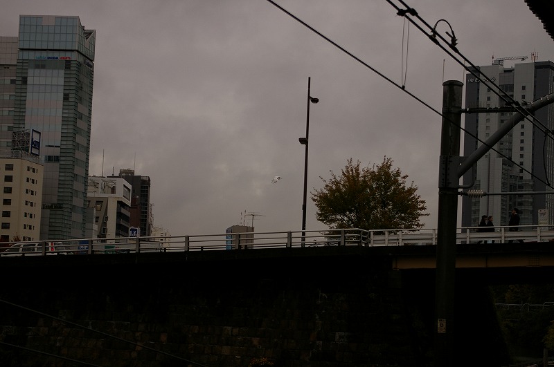 c0082606_1642525.jpg