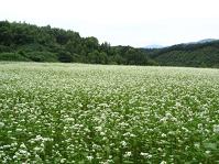 いわき市川前地区、定住・二地域居住お試しプログラムを実施 福島県いわき市_f0061306_10442091.jpg