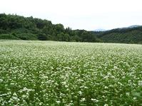 いわき市川前地区、定住・二地域居住お試しプログラムを実施　福島県いわき市_f0061306_10442091.jpg