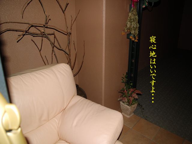 e0094407_013051.jpg