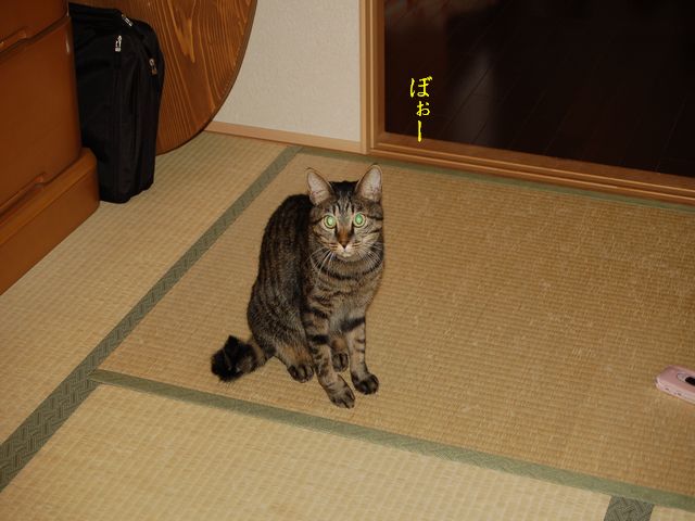 e0094407_0215719.jpg