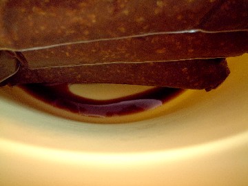 f0043911_145366.jpg