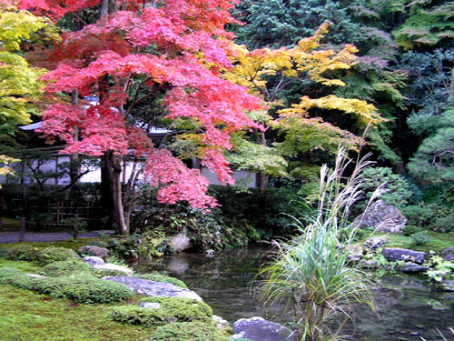 南禅寺　南禅院_e0048413_23565180.jpg