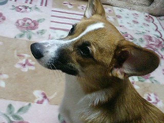 e0026017_14314567.jpg