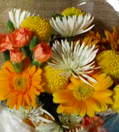 c0038722_13435333.jpg