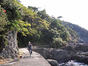 d0023725_14537.jpg