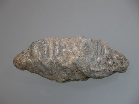 d0045626_20293910.jpg