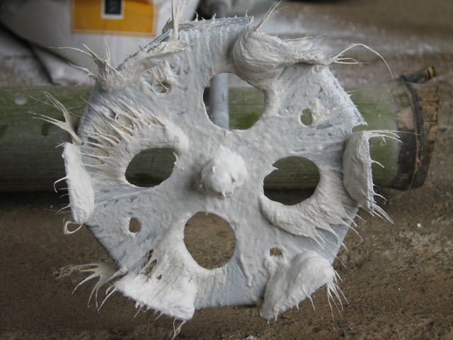 c0085630_5461516.jpg
