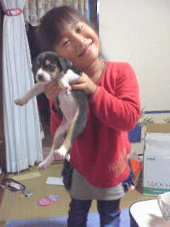 b0100637_19185754.gif