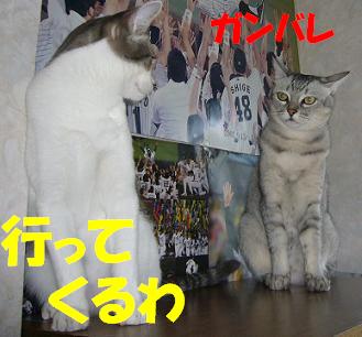 心配~_f0002743_14253120.jpg