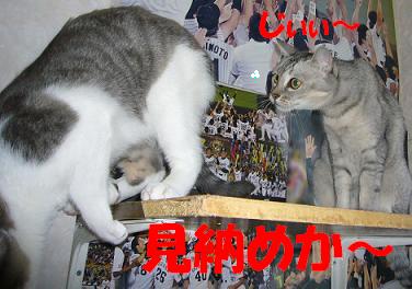 心配~_f0002743_14261477.jpg
