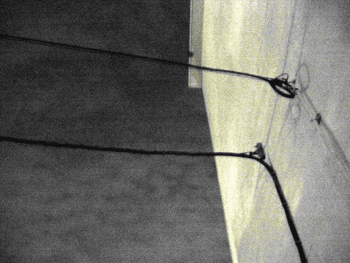 f0041351_1615462.gif
