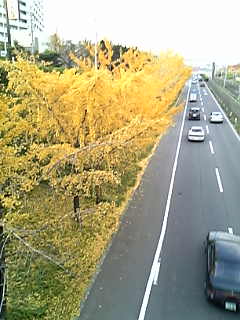 f0073958_13324998.jpg