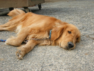 f0043559_21461027.jpg