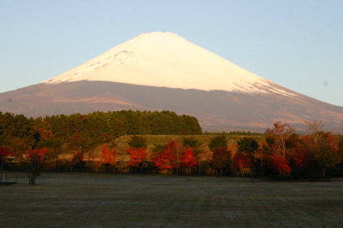 富士山見ながらキャンプ！_f0045283_2134236.jpg