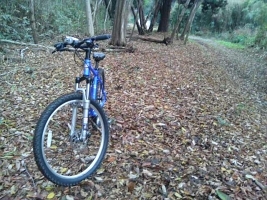 スタンディング スティル Mtbにうってつけの日 ロードバイク