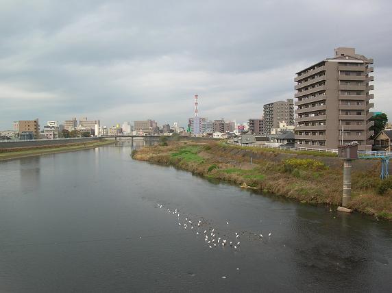 f0063887_848423.jpg
