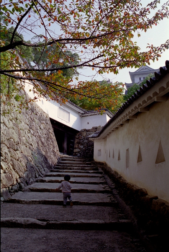 a0013597_19628.jpg