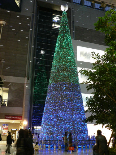 神戸ハーバーランドのクリスマスツリーとポートタワーからの夜景_b0015002_2354398.jpg