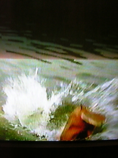 c0082504_0502125.jpg
