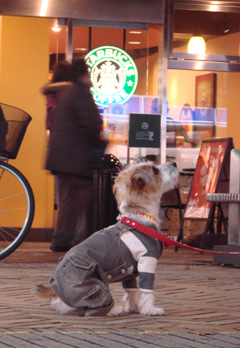 f0080105_2353462.jpg