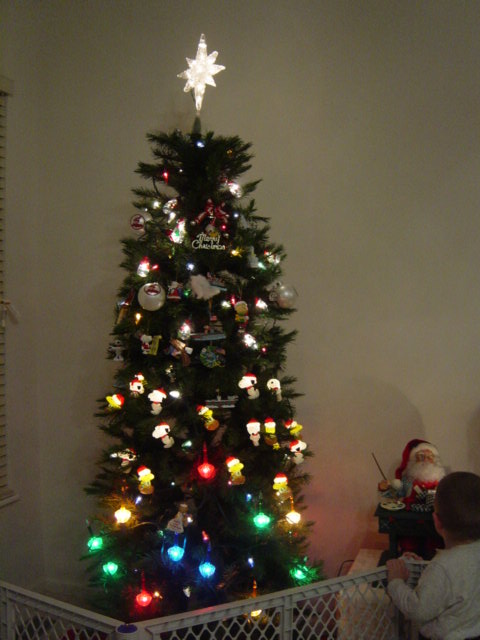 c0079011_375984.jpg