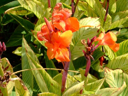 f0093612_56502.jpg