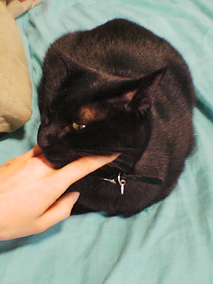 むわつぁっぷわっ_b0072729_12555777.jpg