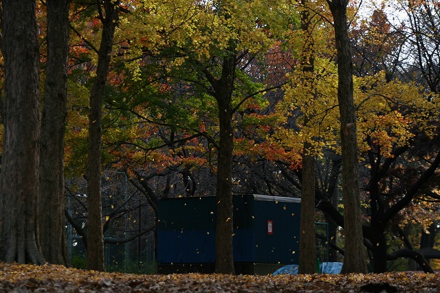 e0052135_22214079.jpg
