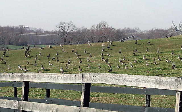 f0020336_19504126.jpg