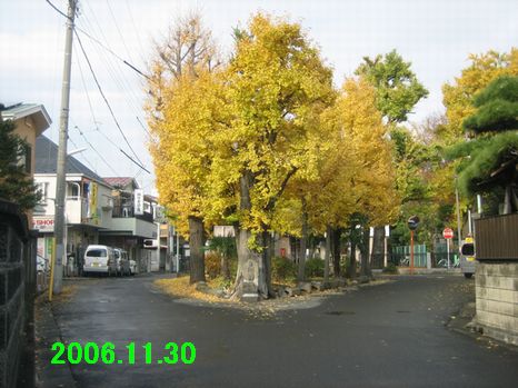 f0002750_22114795.jpg