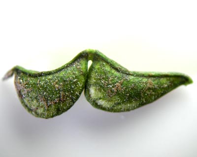 e0035757_21271595.jpg