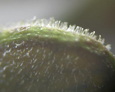 e0035757_21272459.jpg
