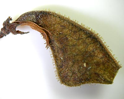e0035757_21275075.jpg