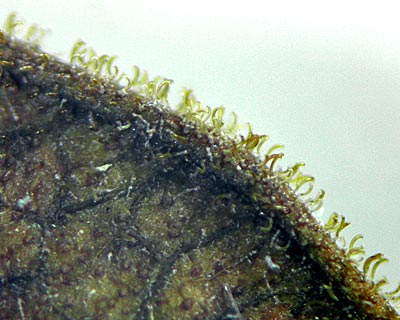 e0035757_21283342.jpg