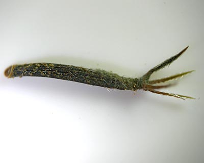e0035757_2130183.jpg