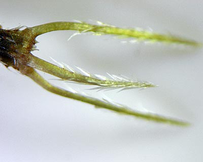 e0035757_21303853.jpg