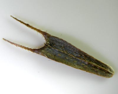 e0035757_21312464.jpg