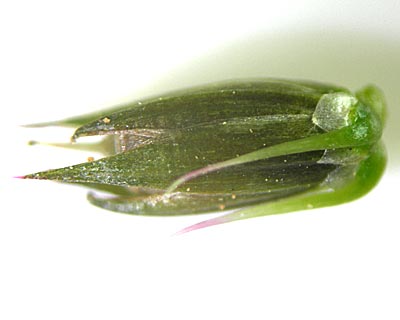 e0035757_2132041.jpg